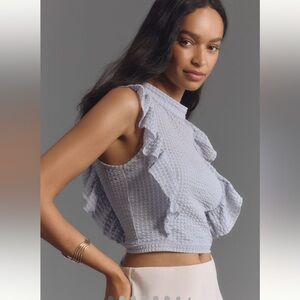 NWT Anthropologie Maeve Crop Ruffle Mesh Top, M